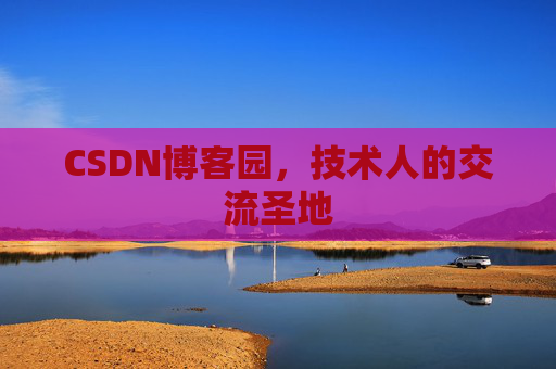 CSDN博客园，技术人的交流圣地